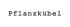 Pflanzkbel