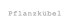 Pflanzkbel